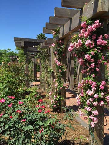 Beaumont Botanical Gardens 